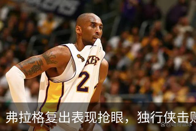 弗拉格复出表现抢眼，独行侠击败热火送对手四连败